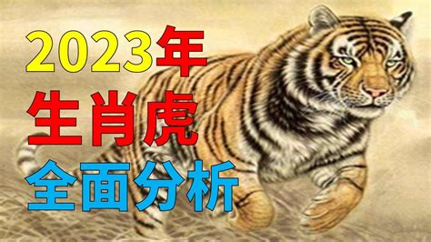 虎2023運勢|【虎】2023 生肖整體運勢